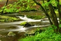 Pennsylvania Forest Stream Royalty Free Stock Photo
