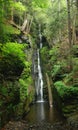 Pennsylvania Forest Waterfall - Delaware Water Gap