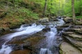 Pennsylvania Mountain Stream Royalty Free Stock Photo