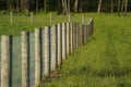 Pennsylvania Pasture