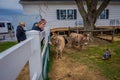 Pennsylvania, USA, APRIL, 18, 2018: Outdoor view of unidentified people looking farm animals, twodonkeys, hen and turkey