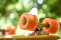 Penny board anangzhi . A sound mind. Royalty Free Stock Photo