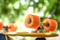 Penny board anangzhi . A sound mind. Royalty Free Stock Photo