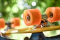 Penny board anangzhi . A sound mind. Royalty Free Stock Photo