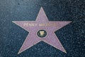 Penny Marshall Hollywood Star