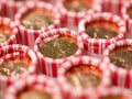 Penny Rolls Lined Up in a Box Royalty Free Stock Photo