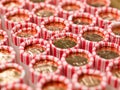 Penny Rolls Lined Up in a Box Royalty Free Stock Photo