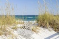 Pensacola Beach Dunes Royalty Free Stock Photo