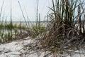 Pensacola Beach, Florida, USA Royalty Free Stock Photo