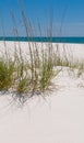 Pensacola sand dune Royalty Free Stock Photo