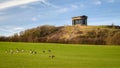 Penshaw Monument and Canada Geese Royalty Free Stock Photo