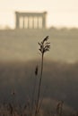 Penshaw Monument and Grass Royalty Free Stock Photo