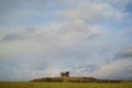 Penshaw Monument Landscape Royalty Free Stock Photo