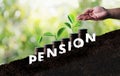 Pension money savings financial concept and retirement and people Investment growing