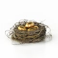 Pension Nest Eggs on white Royalty Free Stock Photo