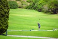 Pensioner sportsman swing at the golf court