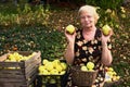 Pensioner woman in floral dress harvest apples with wooden full craters