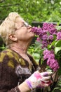 Pensioner woman in gloves with secator smell lilak flowers Royalty Free Stock Photo