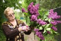 Pensioner woman in gloves with secator smell lilak flowers Royalty Free Stock Photo