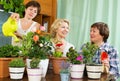 Pensioners and girl caring for plants