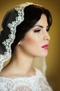 Pensive brunette bride Royalty Free Stock Photo