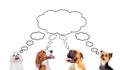 Pensive dogs looking up Royalty Free Stock Photo