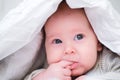 Pensive infant baby lies under white blanket on bed and holds finger in his mouth. Newborn child relaxing in bed. New Royalty Free Stock Photo