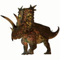 Pentaceratops on White