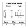 Pentagonal Prism Nets, faces, edges, and vertices. Geometric figures are set isolated on a white backdrop.