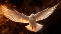 Flying white dove in fire background. Symbol of the Holy Spirit descent upon the Apostles and other followers of Jesus. Royalty Free Stock Photo