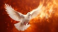 Flying white dove in fire background. Symbol of the Holy Spirit descent upon the Apostles and other followers of Jesus.