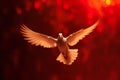 Pentecost Sunday. Flying white dove in fire background. Symbol of the Holy Spirit. Royalty Free Stock Photo