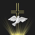 Pentecost Sunday Holy Spirit vector icon