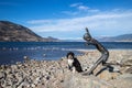 Penticton, British Columbia, Canada - November 8, 2021: A dog sitting on the empty beach at Okanagan Lake beside The Romp by