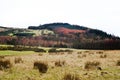 Pentland hills