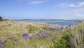 Pentle Bay, Tresco, Isles of Scilly, England