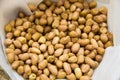 Penut , groundnut Royalty Free Stock Photo