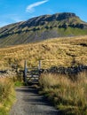 Pen-y-ghent mountain with gate and path Royalty Free Stock Photo