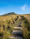 Pen-y-ghent mountain with path Royalty Free Stock Photo