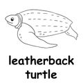 Kids line illustration coloring leatherback turtle. animal outline