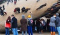 Peole taking pictures in the millennium park, Chicago, Illinois in winter Royalty Free Stock Photo