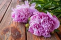 Peonie flowers old wooden background.