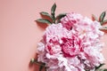 Peonies bouquet flowers in full bloom vibrant pink color isolated on pale pink background. flat lay, top view, space for text. ban Royalty Free Stock Photo