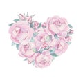 Peonies flowers and buds. Spring, summer heart wreath. botanical illustration rose. Wedding invitation frame, birthday