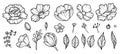 Peonies hand drawn element. Floral garden sketch of flowers bud and leaves vector collection of peonies. Illustration of