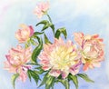 Peonies, oil painting on canvas