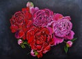 peonies oil painting flowers of red,lilac color with buds with green petals and blooming Royalty Free Stock Photo