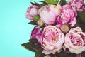 Peonies on plain cyan background