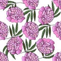 Peonies seamless pattern. Pink peonies on a white background vector