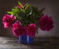 Peonies Royalty Free Stock Photo